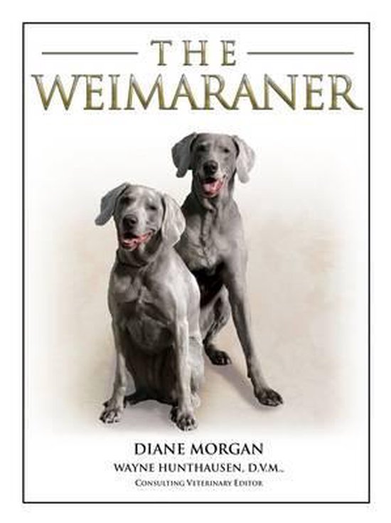 The Weimaraner