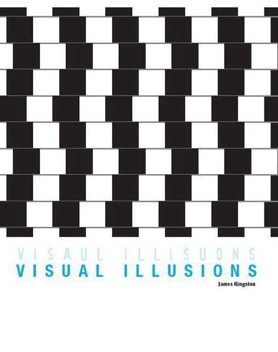 Minibooks - Visual Illusions