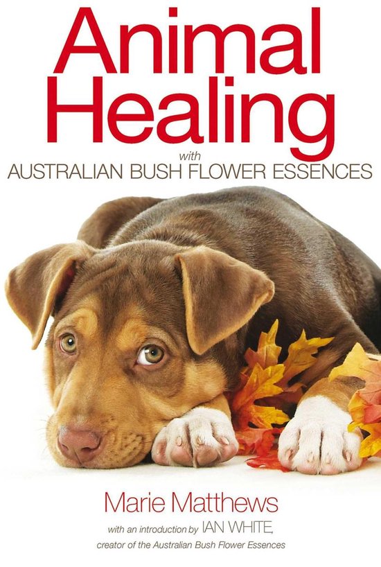 Animal Healing with Australian Bush Flower Essences