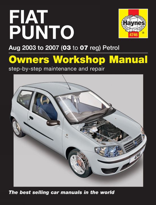 Fiat Punto Petrol (03-07)