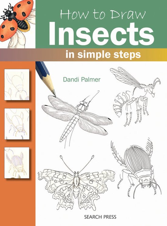 How To Draw Insects In Simple Steps