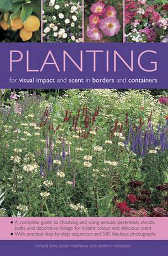 Planting for Visual Impact and Scent in Borders and Containers