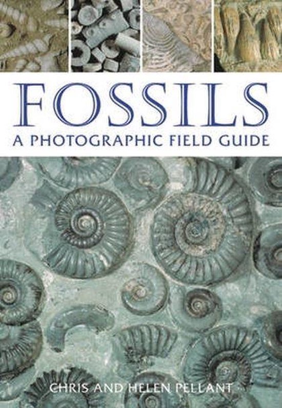 Fossils