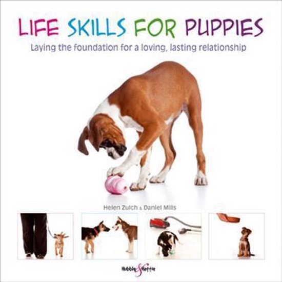 Life Skills For Puppies