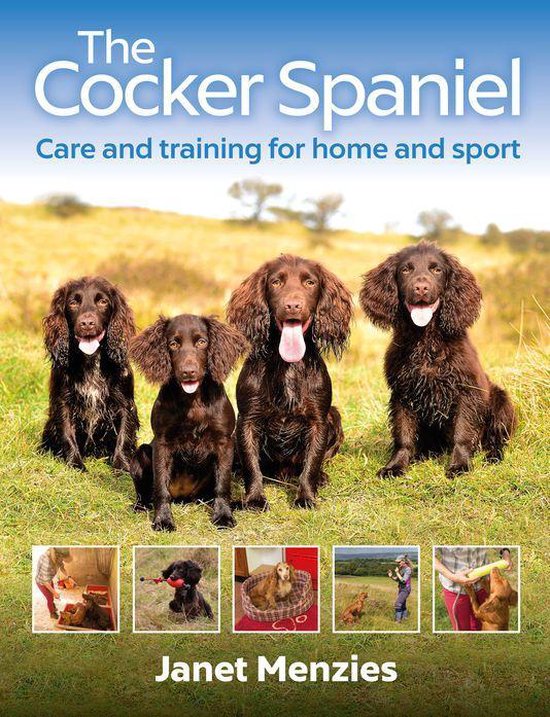 The Cocker Spaniel