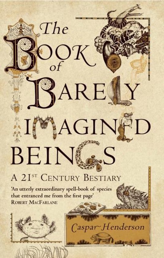 Book Of Barely Imagined Beings