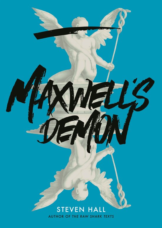 Maxwell's Demon