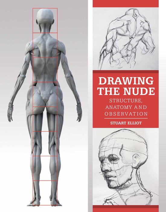 Drawing The Nude