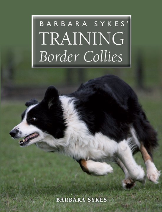 Barbara Sykes Training Border Collies