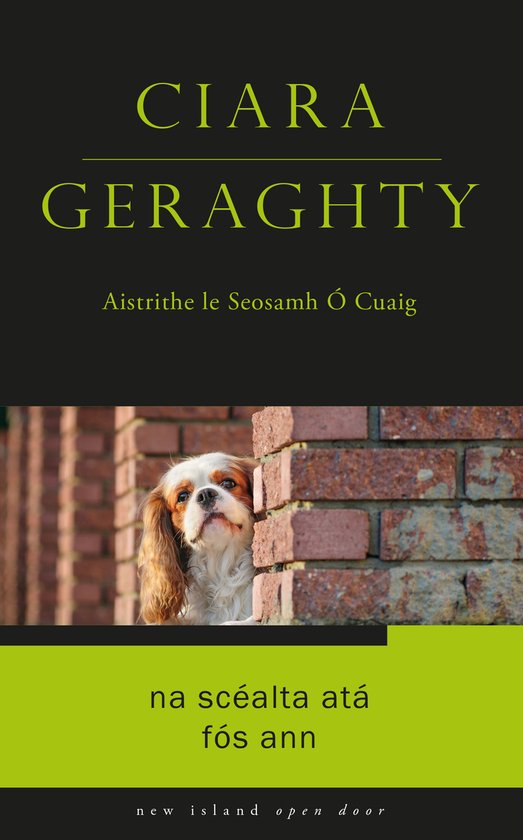 Open Door as Gaeilge- Na Scéalta Atá Fós Ann