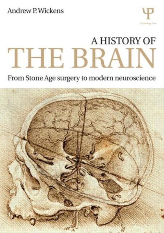 History Of The Brain