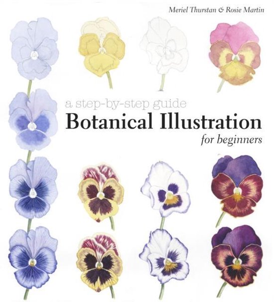 Botanical Illustration For Beginners