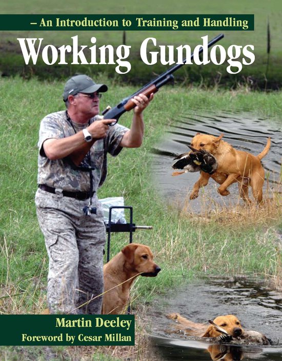 Working Gundogs