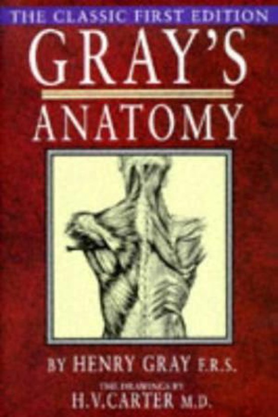 Gray's Anatomy