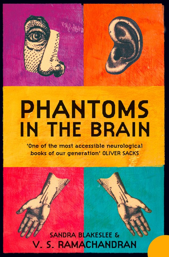 Phantoms In The Brain