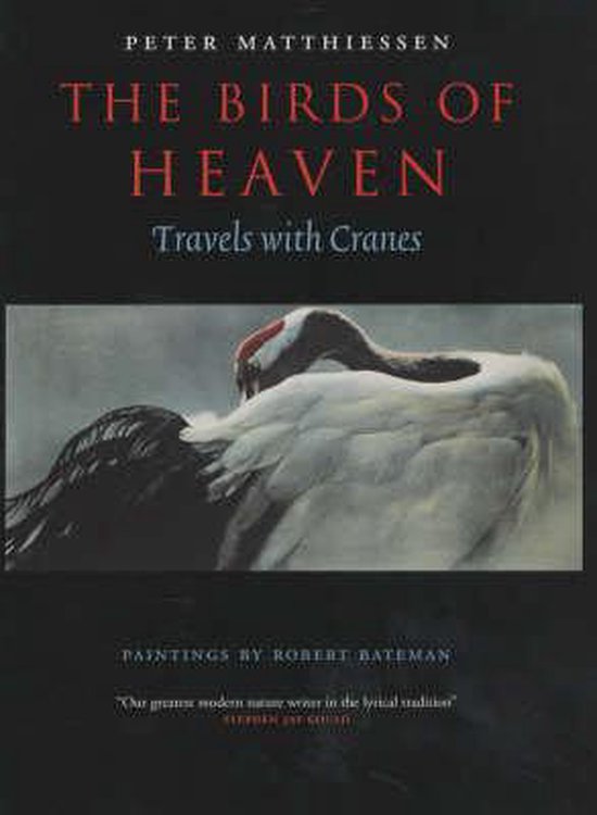 The Birds Of Heaven