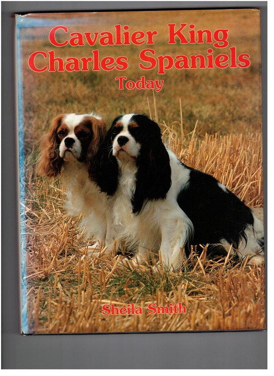 Cavalier King Charles Spaniels Today