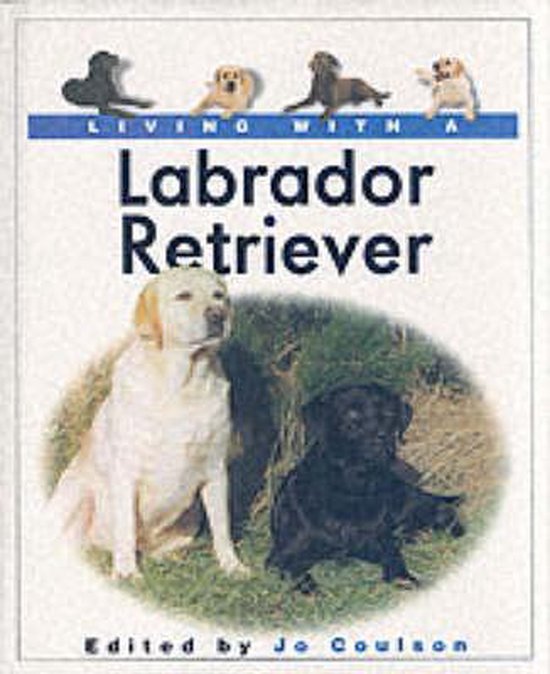 Living with a Labrador Retriever