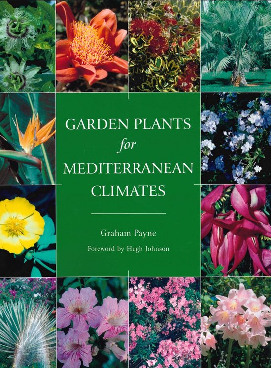 Garden Plants For Mediterranean Climates