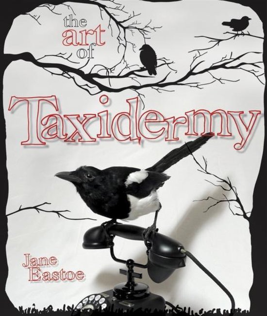 Art Of Taxidermy