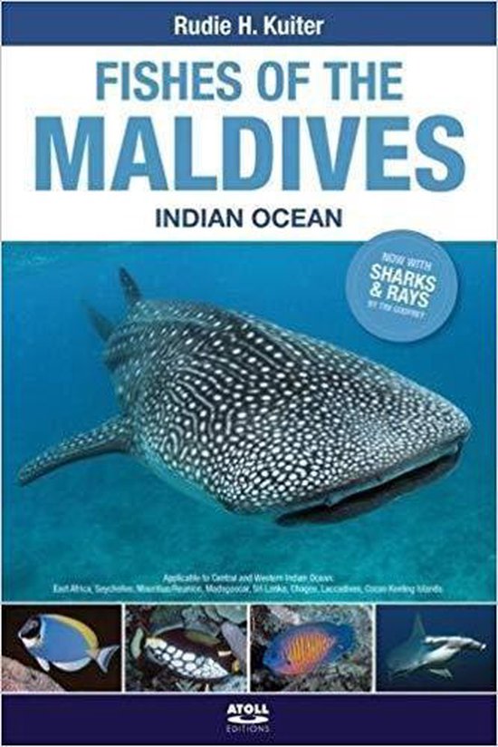 Fishes of the Maldives