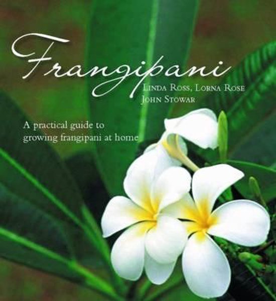 Frangipani