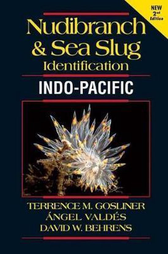 Nudibranch and Sea Slug Identification Indo-Pacific