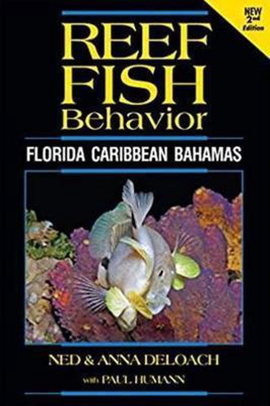 Reef Fish Behavior