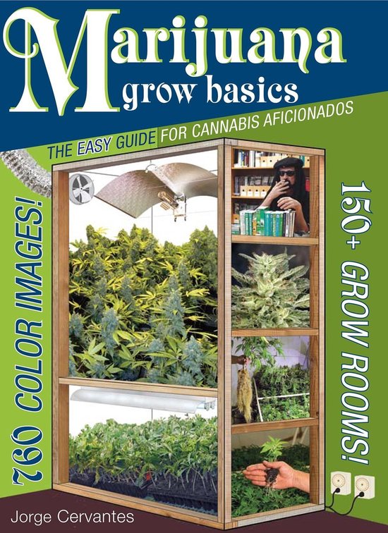 Marijuana Grow Basics