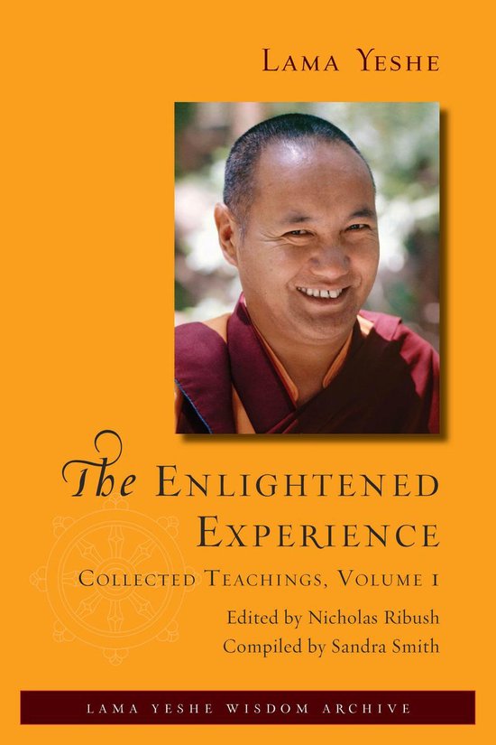 The Enlightened Experience - The Enlightened Experience: Collected Teachings, Volume 1