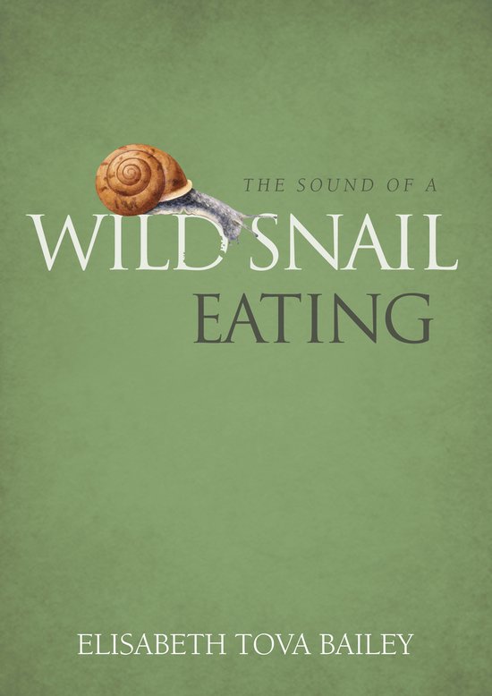 Sound Of A Wild Snail Eating