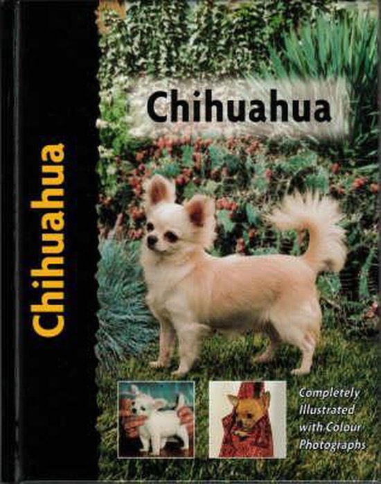 Chihuahua