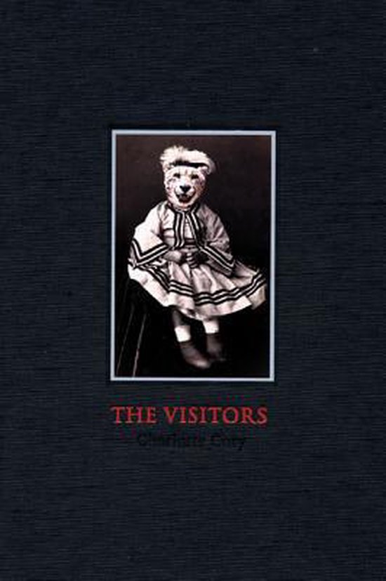 The Visitors