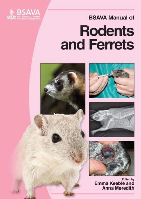 Bsava Manual Of Rodents And Ferrets