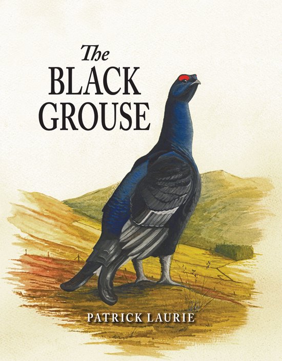 Black Grouse