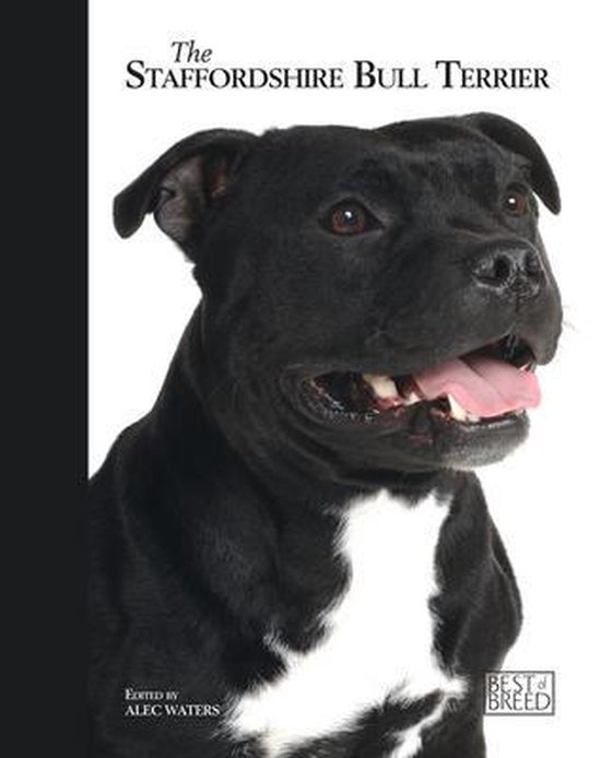 Staffordshire Bull Terrier