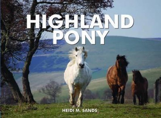 Spirit of the Highland Pony