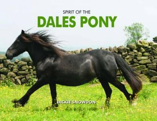 Spirit of the Dales Pony