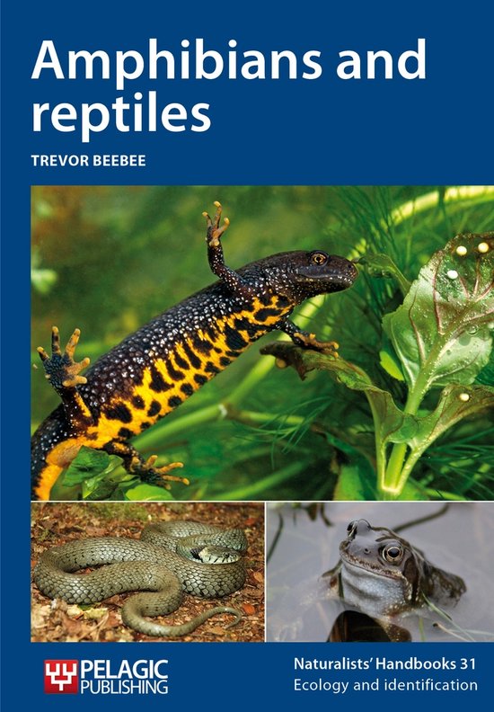 Amphibians And Reptiles