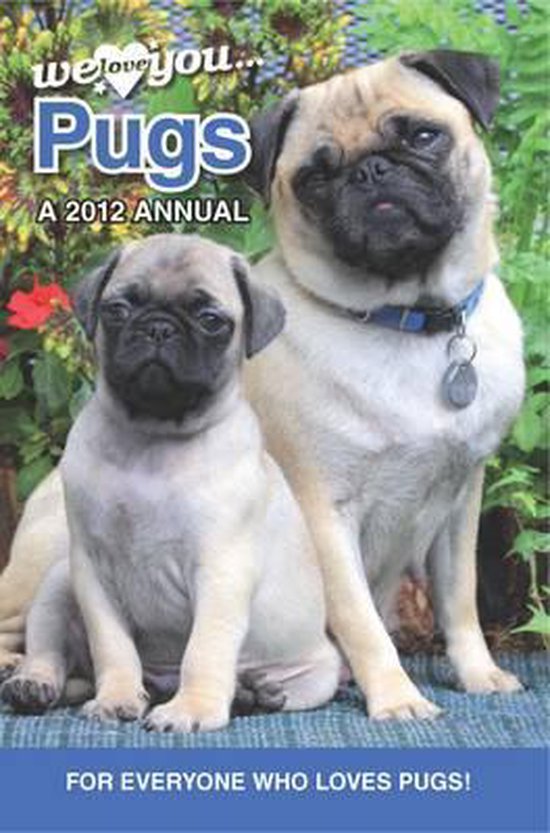 Pug Dogs