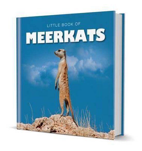 Little Book Of Meerkats