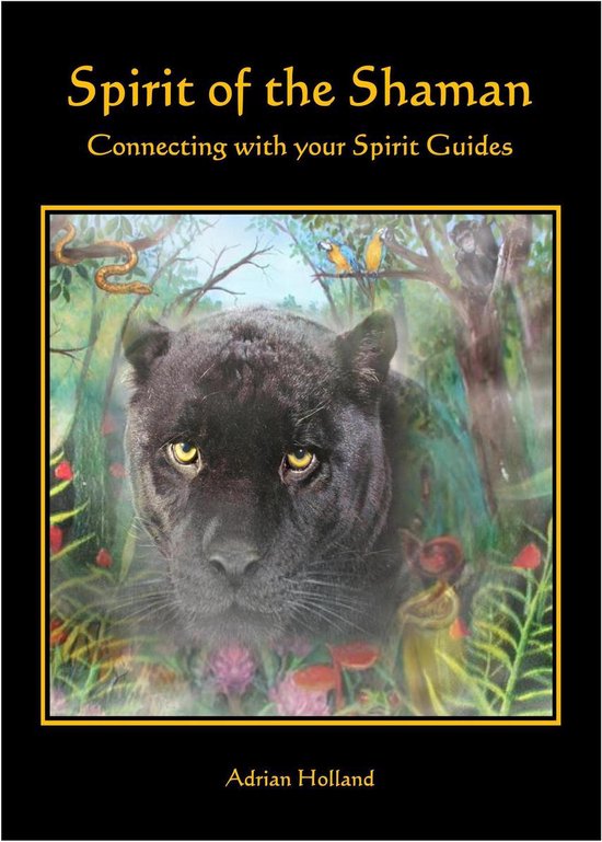 Spirit of the Shaman: Connecting with your Spirit Guides