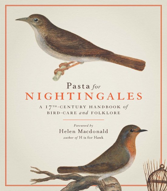 Pasta For Nightingales