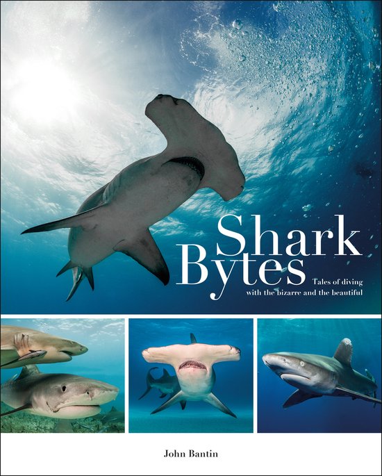 Shark Bytes