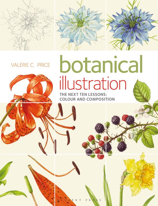 Botanical Illustration The Next Ten Lessons: Colour and Composition