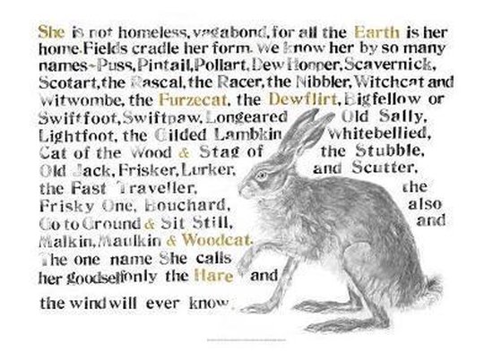 Jackie Morris Poster: Names of the Hare, The