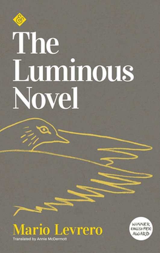 The Luminous Novel