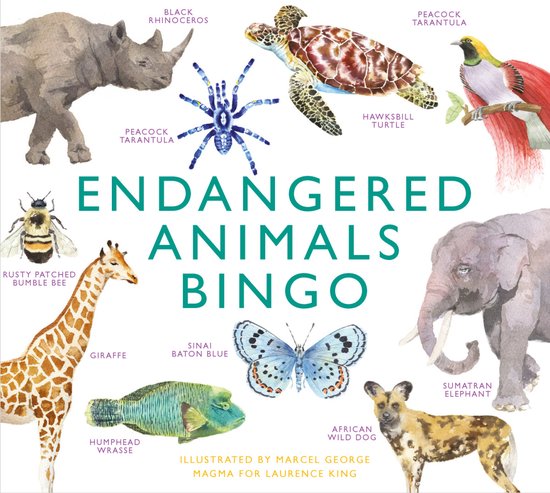 Endangered Animals Bingo: Learn about 64 Threatened Species That Need Our Help