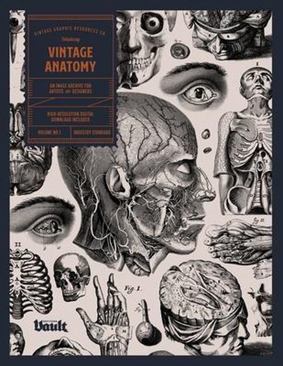 Vintage Anatomy