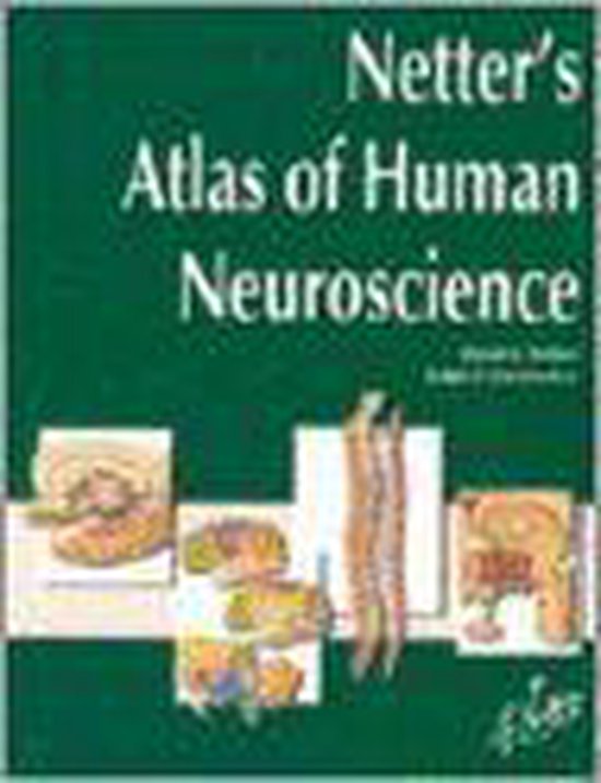 Netter's Atlas Of Human Neuroscience